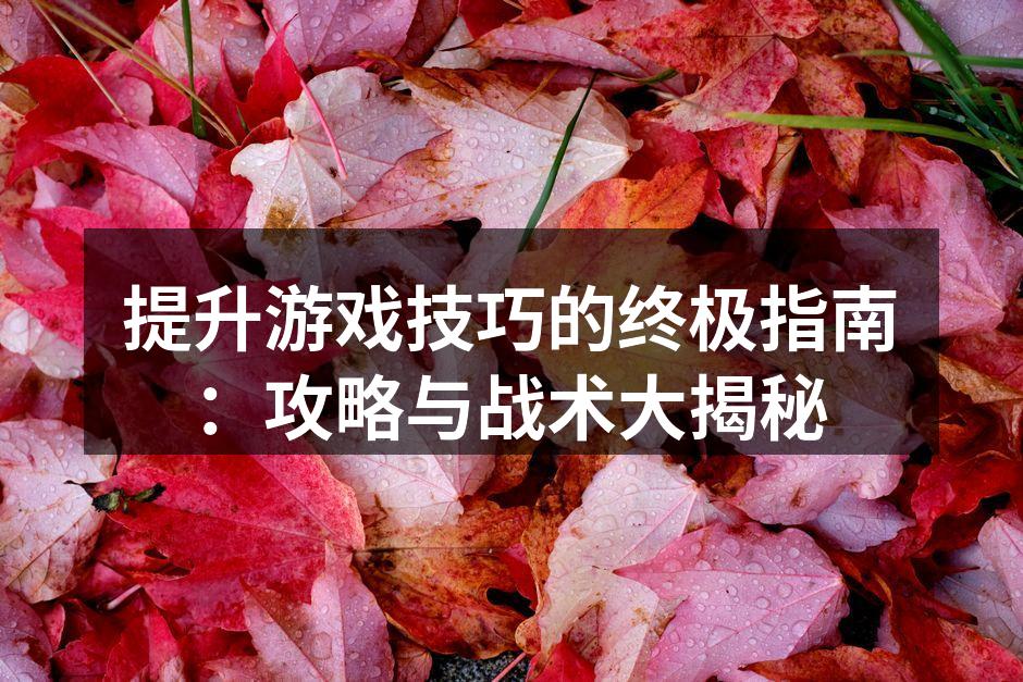 掌握游戏技巧，提升胜率